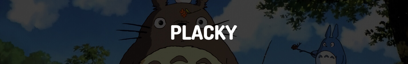 totoro - PLACKY